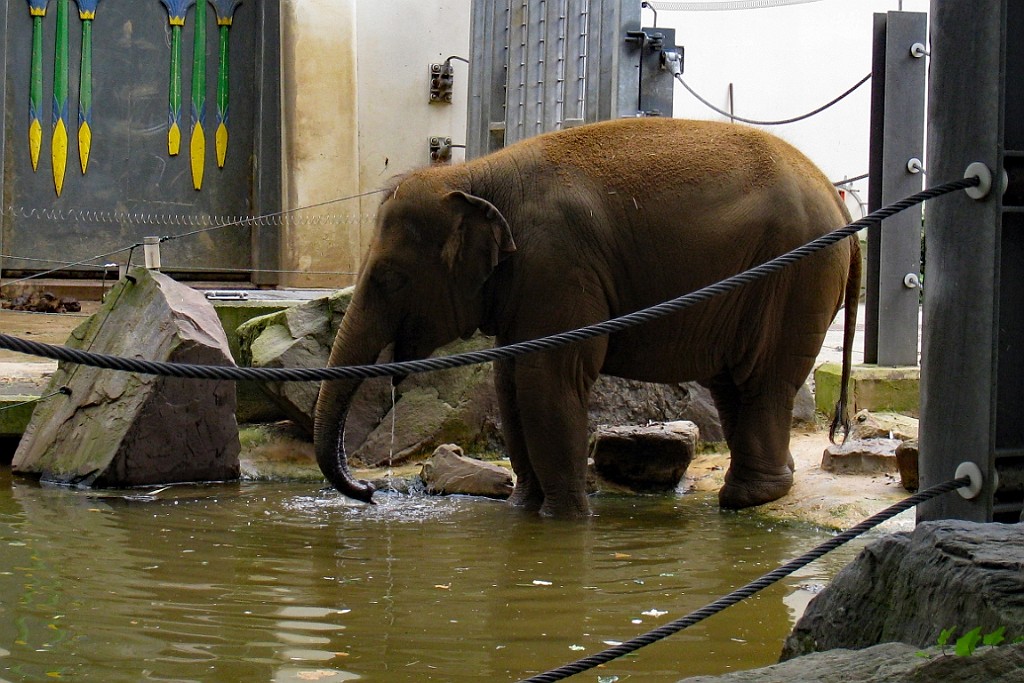 Zoo19.JPG