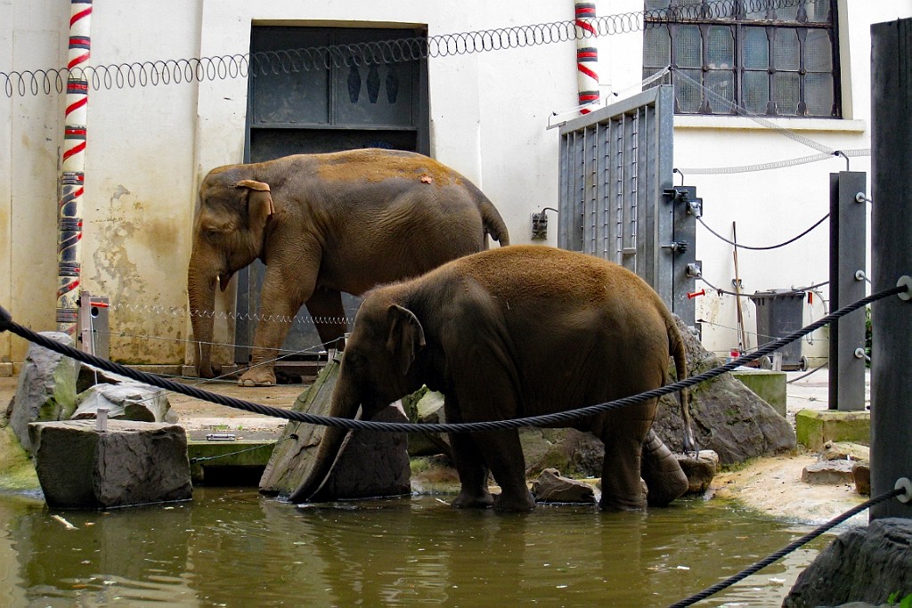 Zoo20.JPG