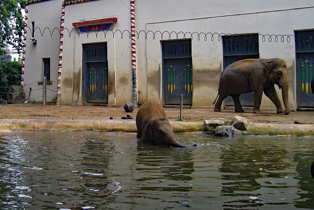 Zoo21.JPG