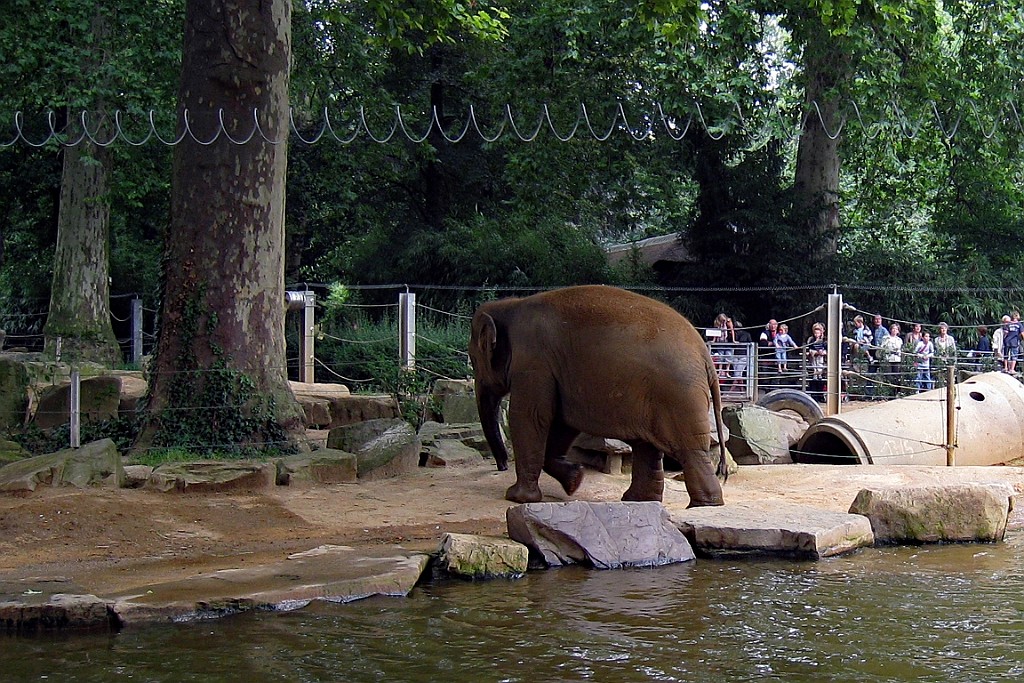 Zoo22.JPG