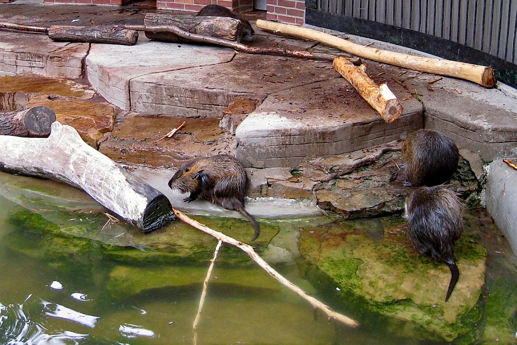 Zoo27.JPG