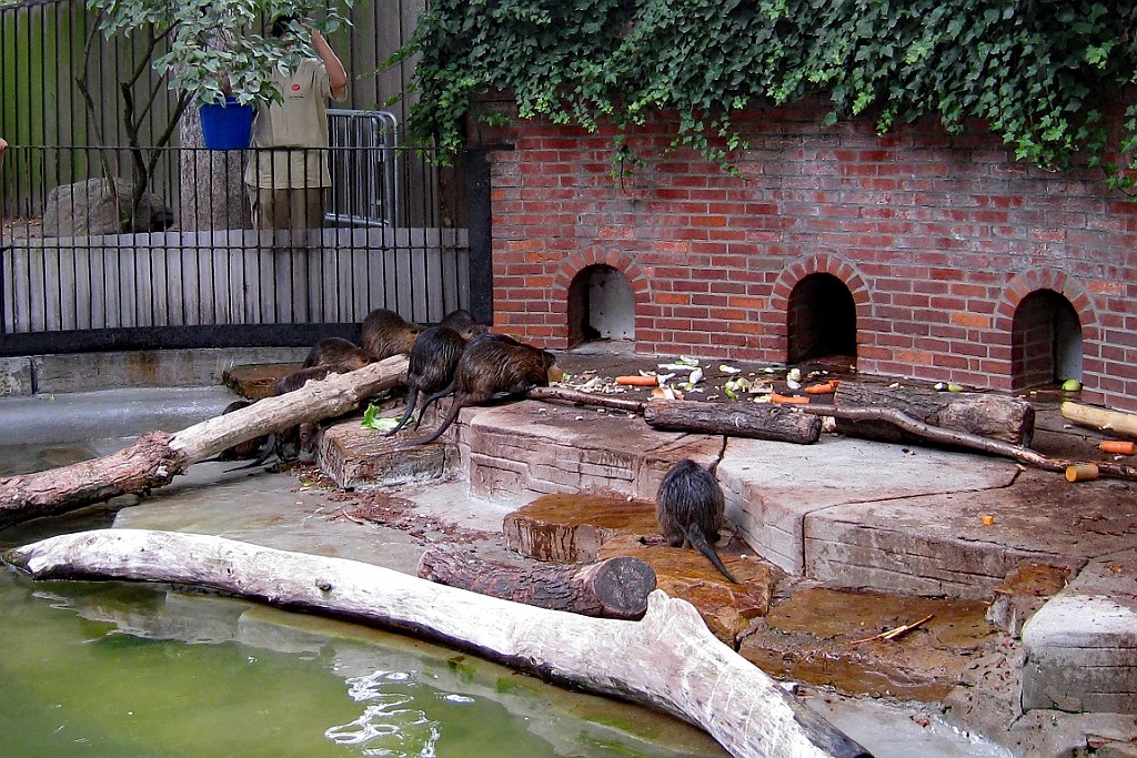 Zoo28.JPG