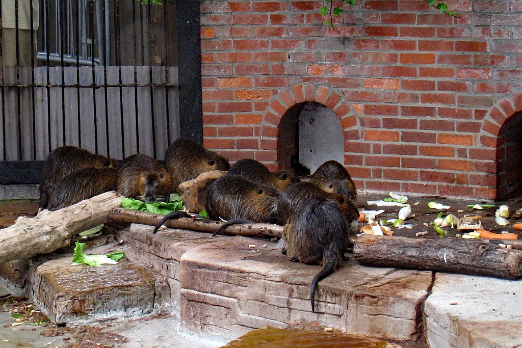 Zoo29.JPG