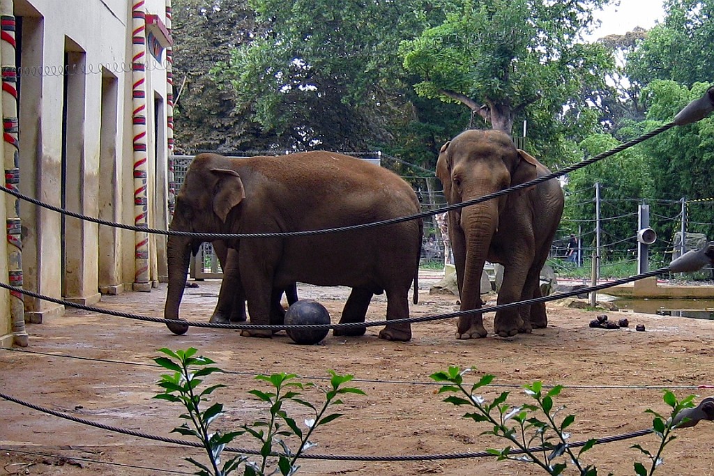 Zoo30.JPG