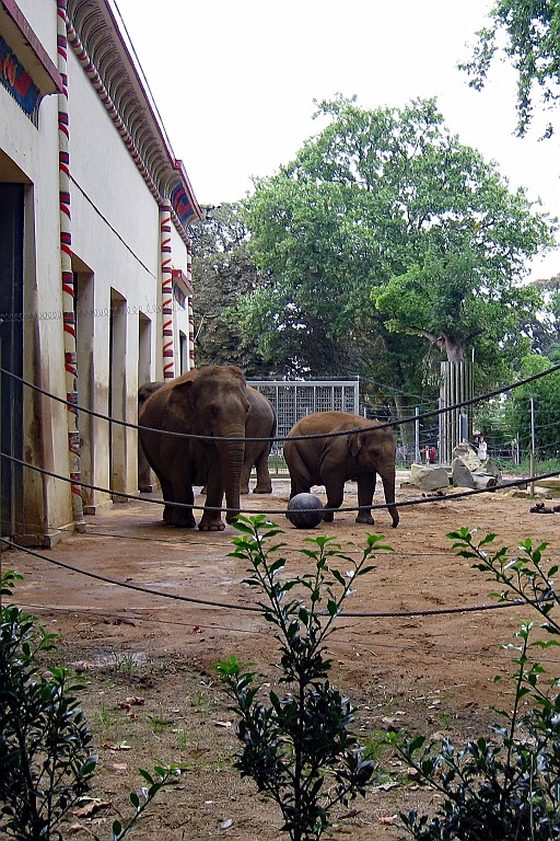 Zoo31.JPG