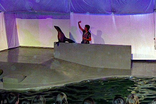 Zoo03