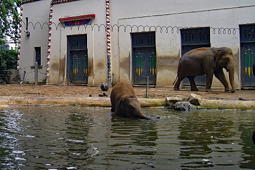 Zoo21