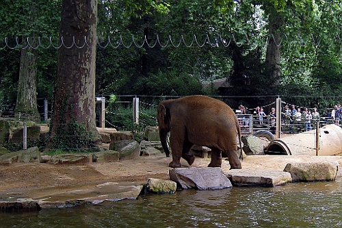 Zoo22