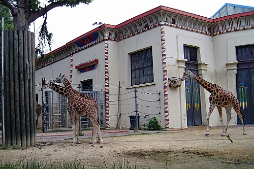Zoo24