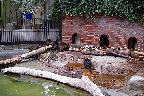 Zoo28