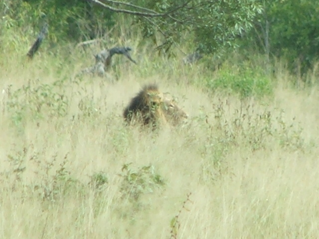 sa091.JPG - Dit is de eerste van de Big 5