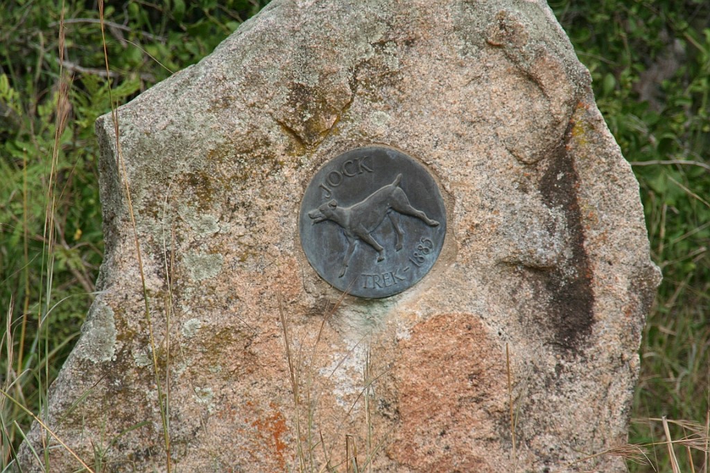 sa167.JPG