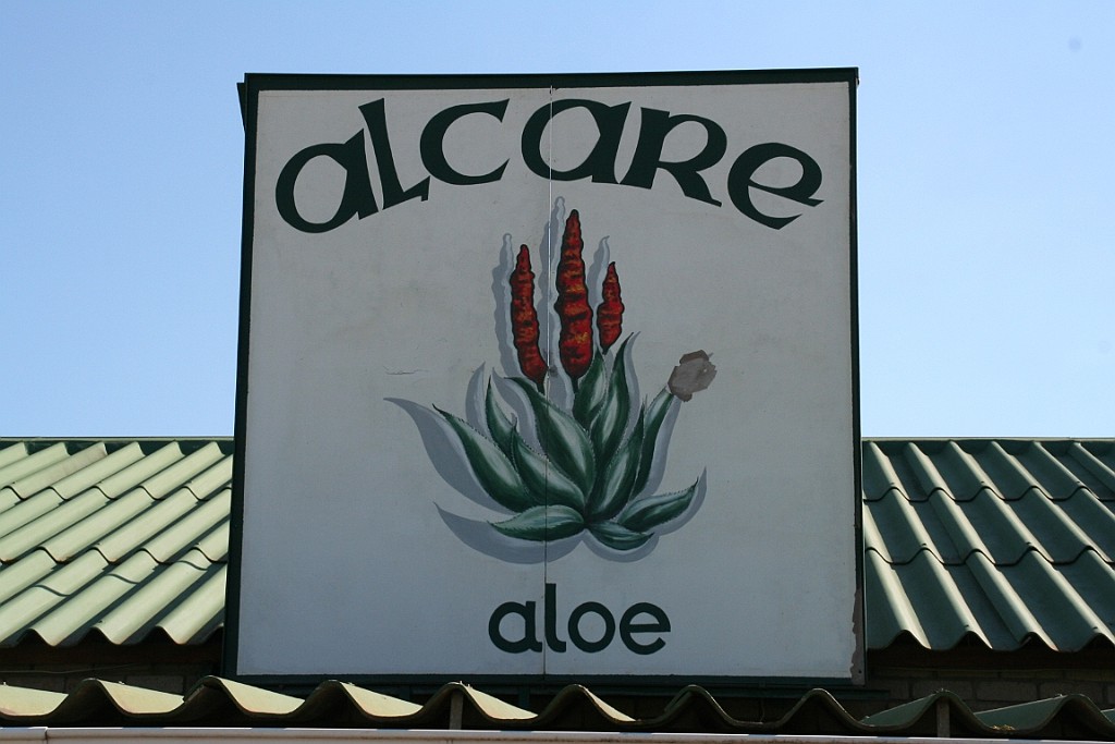 sa351.JPG - Een fabriek van Aloë Verox