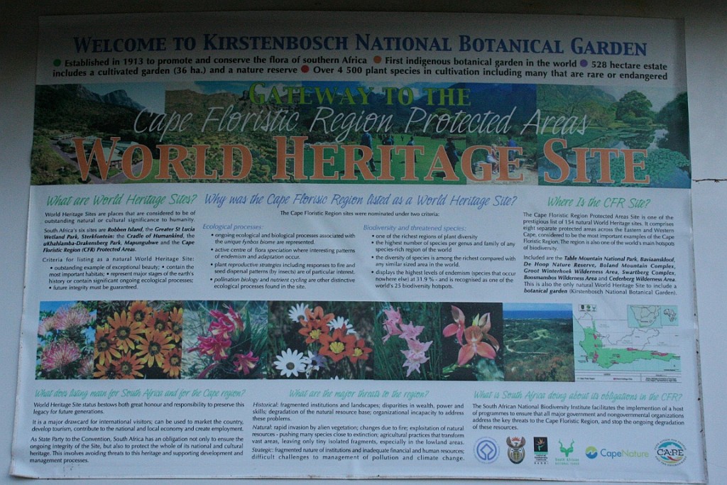 sa451.jpg - Nationale Botanische tuin van Kirstenbosch