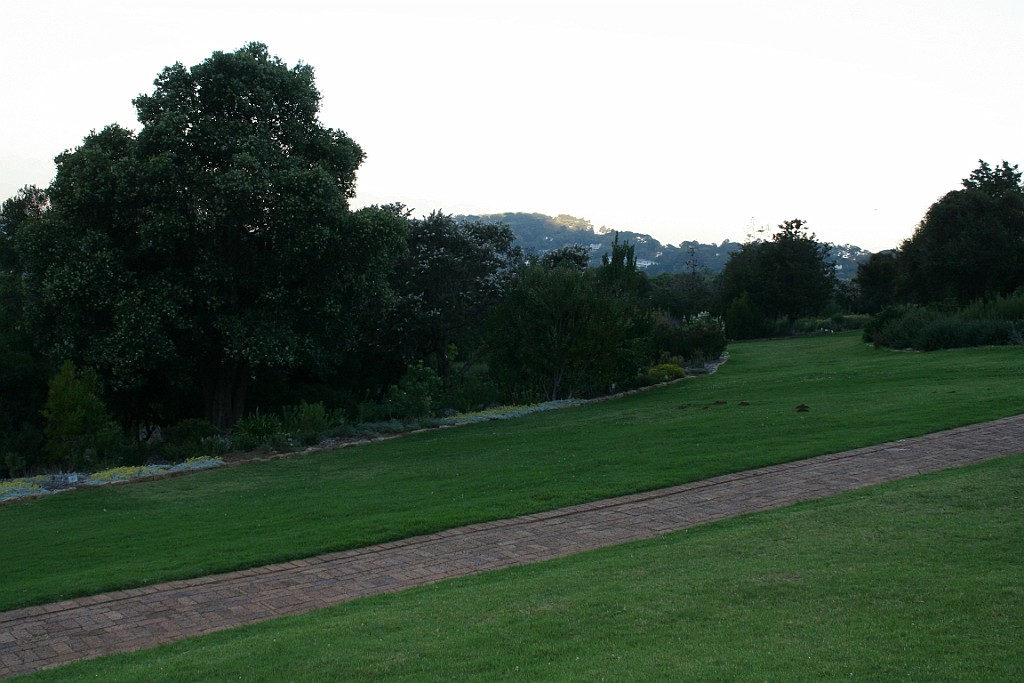 sa467.JPG