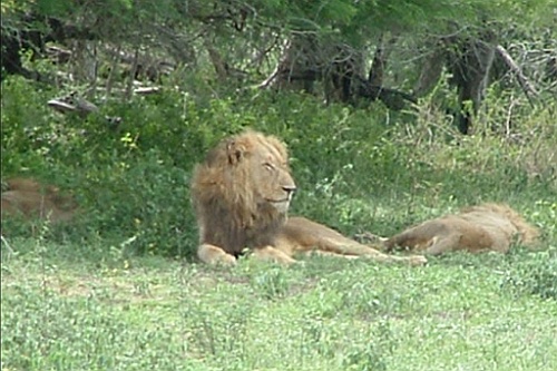 sa092
