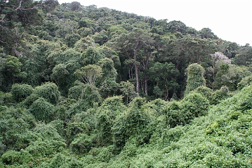 sa227